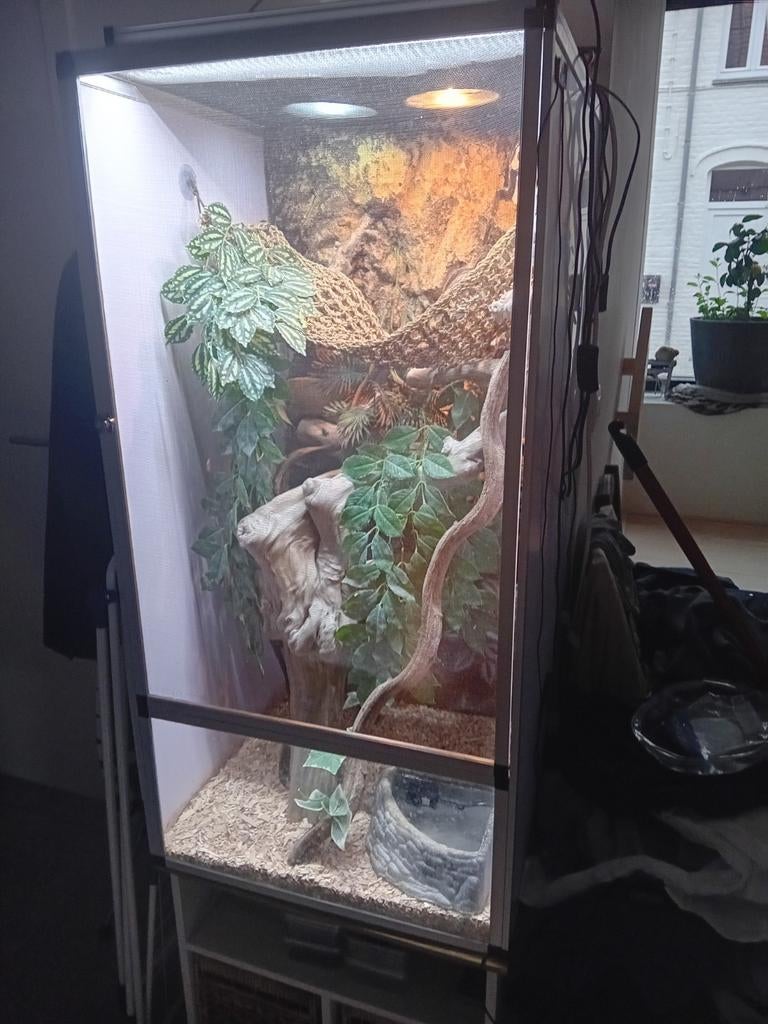 Tekoop terrarium met alles erbij, Dieren en Toebehoren, Ophalen
