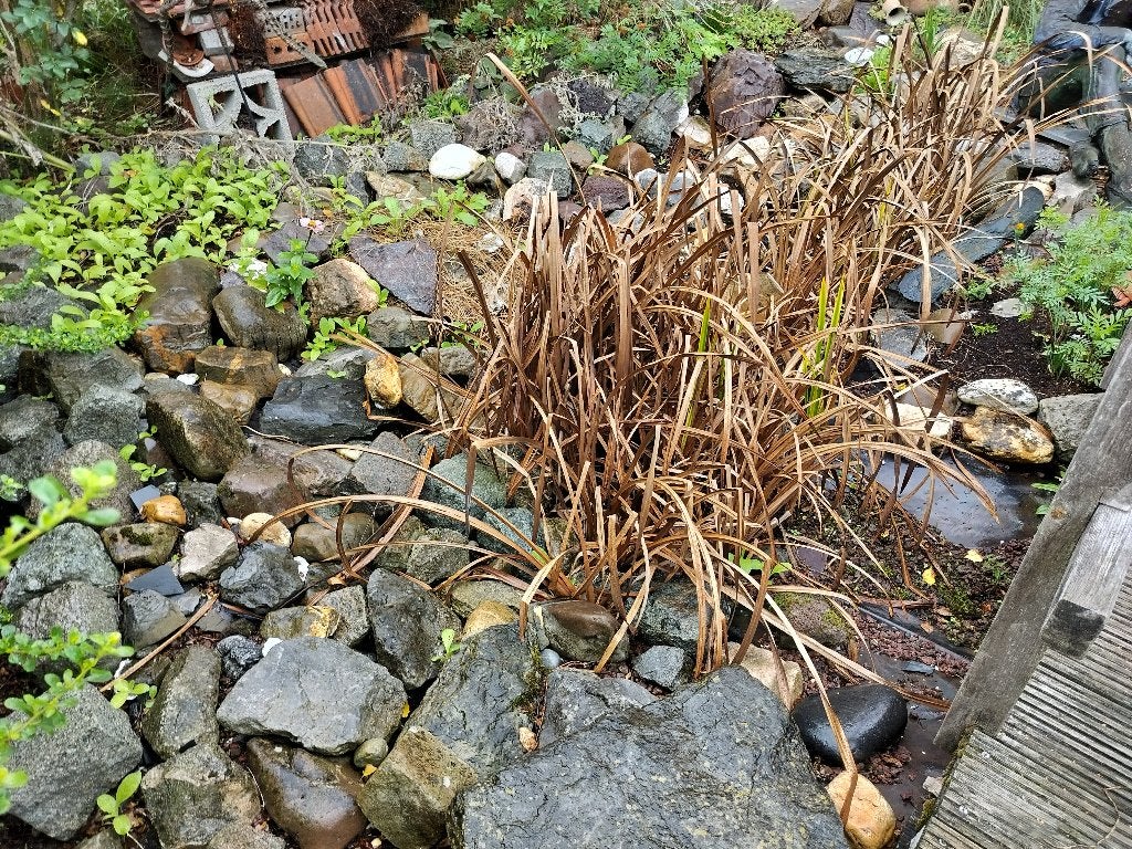 Vijverstenen, Tuin en Terras, Ophalen, Gebruikt, Overige typen