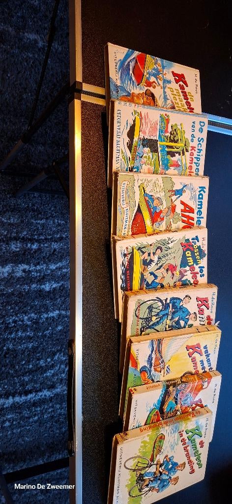 De kameleon 8 boeken, Ophalen of Verzenden, Gelezen, H.de Roos