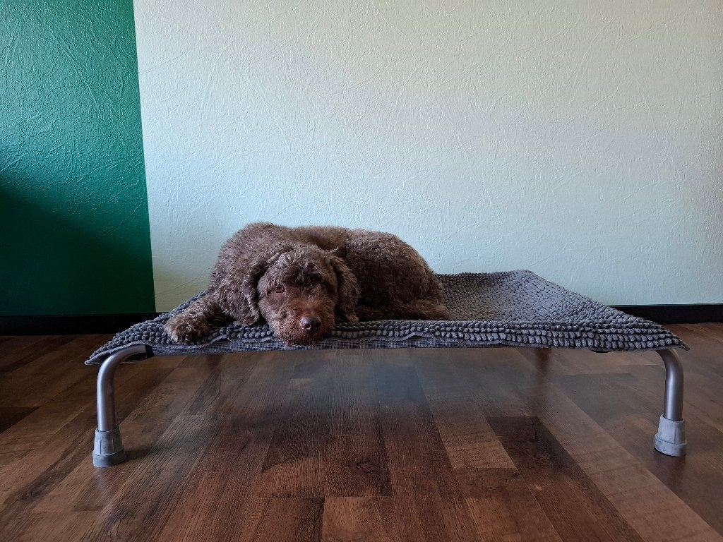 HIK 9 verhoogd hondenbed tot 50kg, Ophalen
