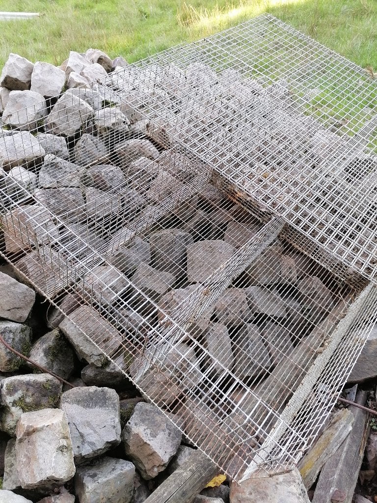 afmestkooien voor konijnen, Enlèvement, Utilisé, Cage, Lapin