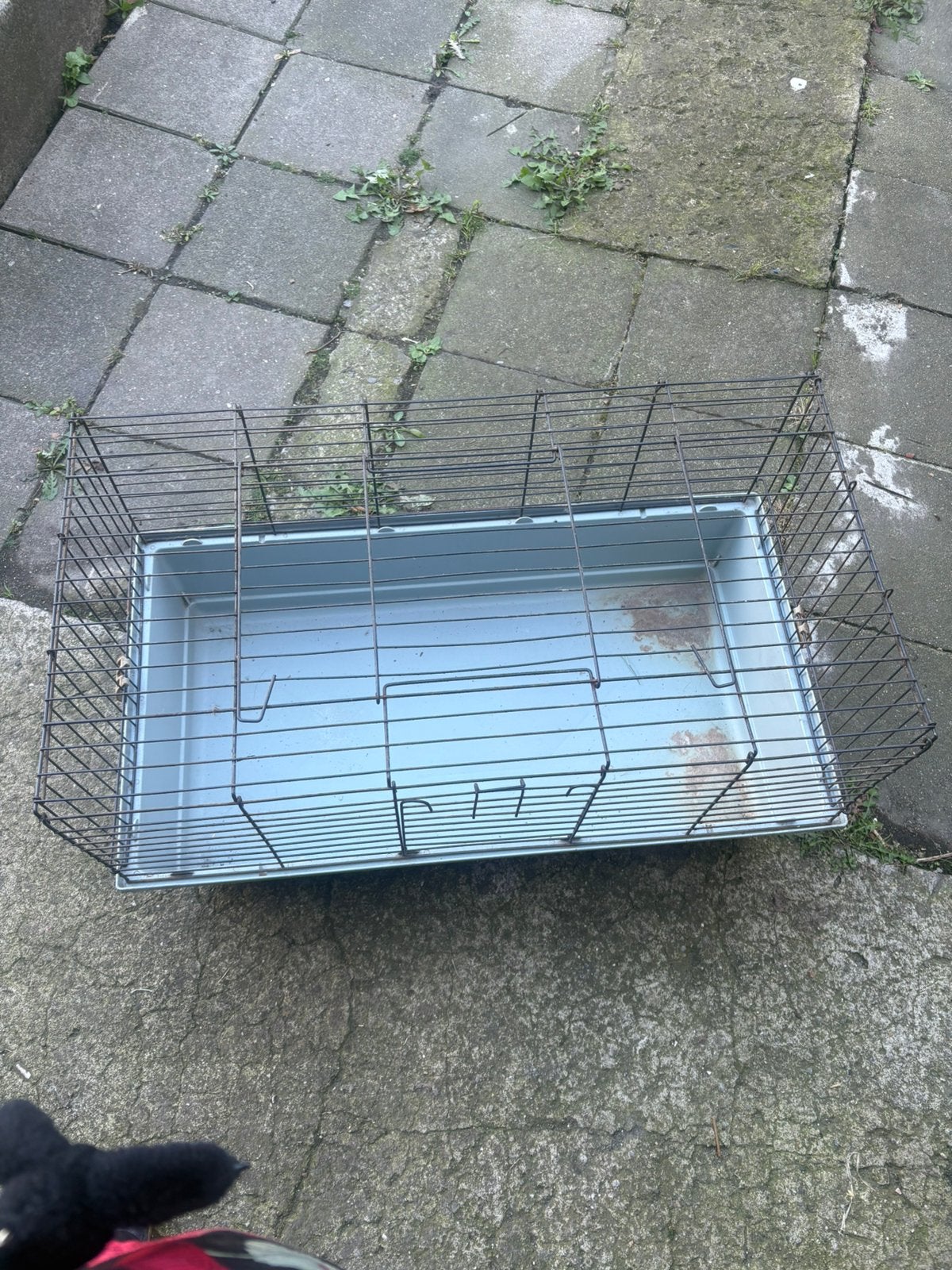 Cage cochon d'Inde / lapin nain, Animaux & Accessoires, Moins de 60 cm, 75 à 110 cm, Cage, Enlèvement
