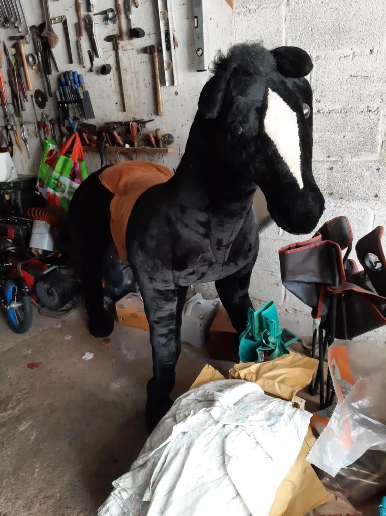 Cheval pédagogique, Animaux & Accessoires, Enlèvement ou Envoi, Comme neuf, Autres espèces