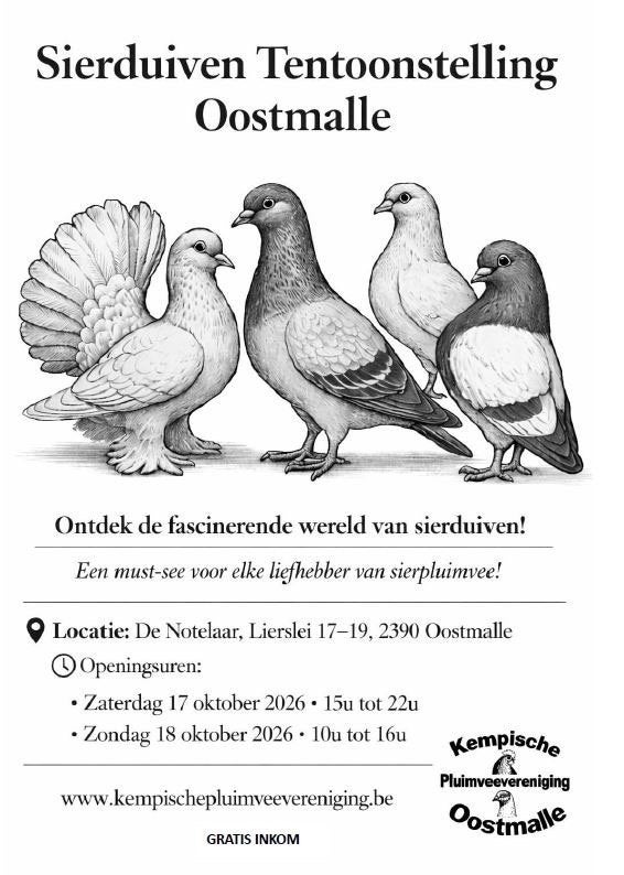 Sierduiven tentoonstelling Oostmalle, Animaux & Accessoires, Plusieurs animaux, Autres espèces