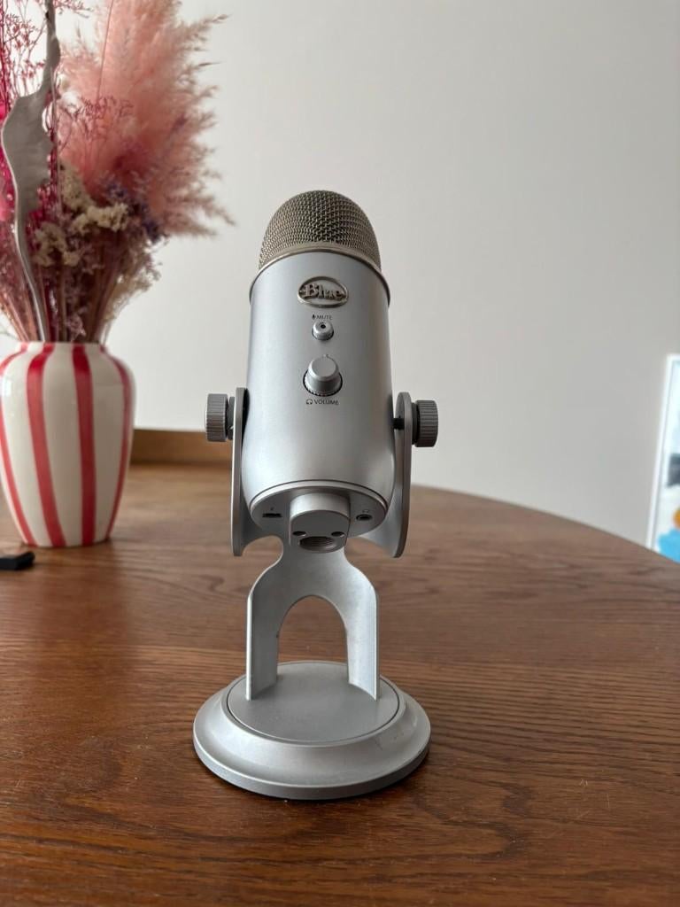 Blue Yeti Microfoon Zilver + USB kabel, Musique & Instruments, Enlèvement, Comme neuf