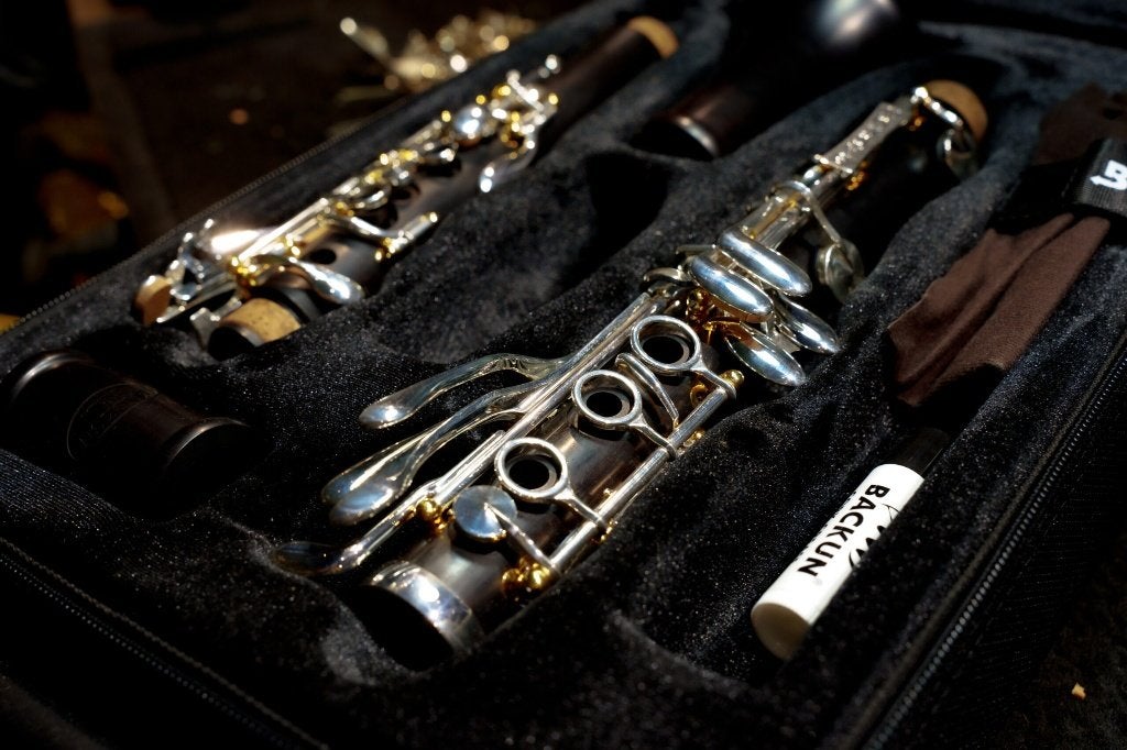 Clarinette Sib Backun Protégé - PROMO !, Musique & Instruments, Instruments à vent | Clarinettes, Neuf, Clarinette en si bémol