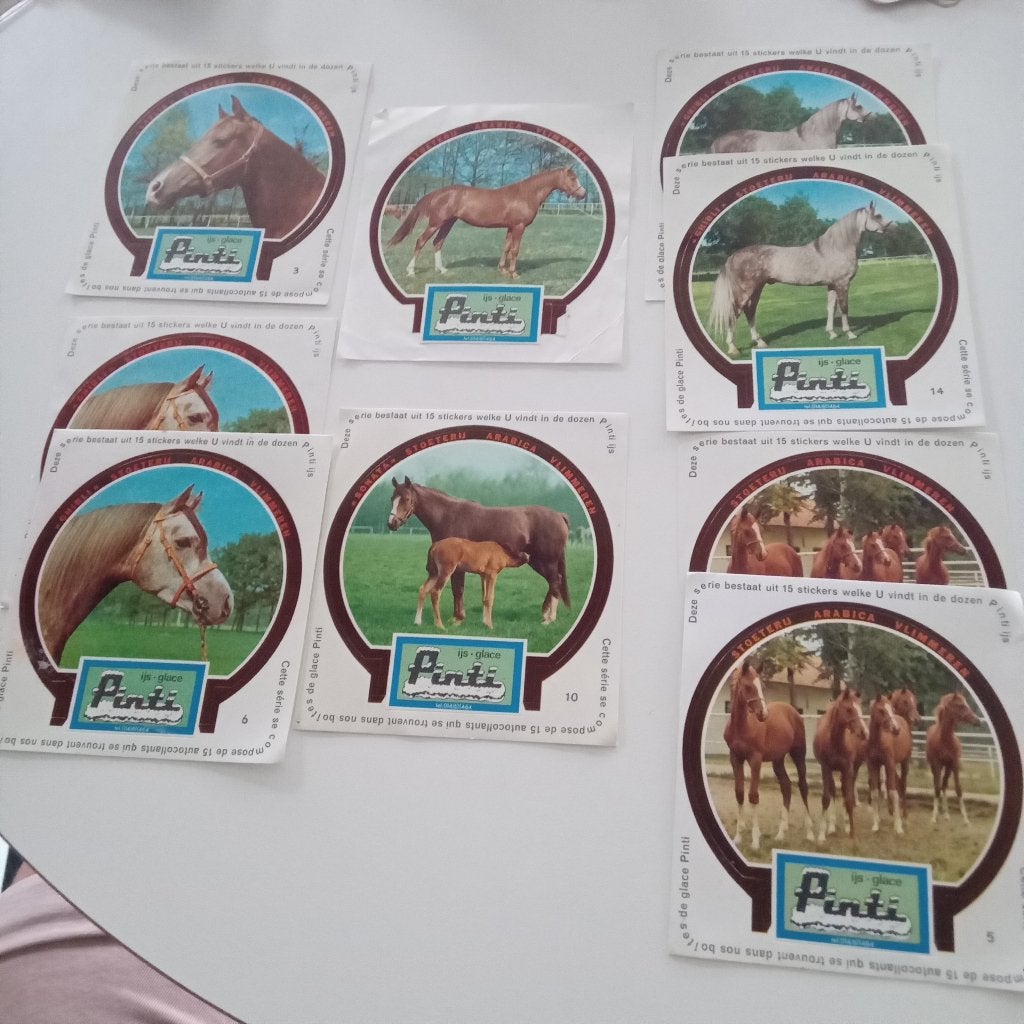 LOT D'AUTOCOLLANTS DE CRÈME GLACÉE AU PINTI - CHEVAUX, Envoi