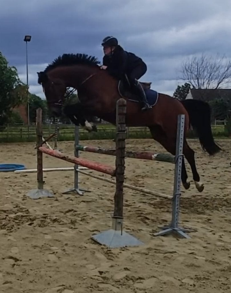 15 jarige leermerrie, Dieren en Toebehoren, Paarden, Merrie, Springpaard, Met stamboom, M