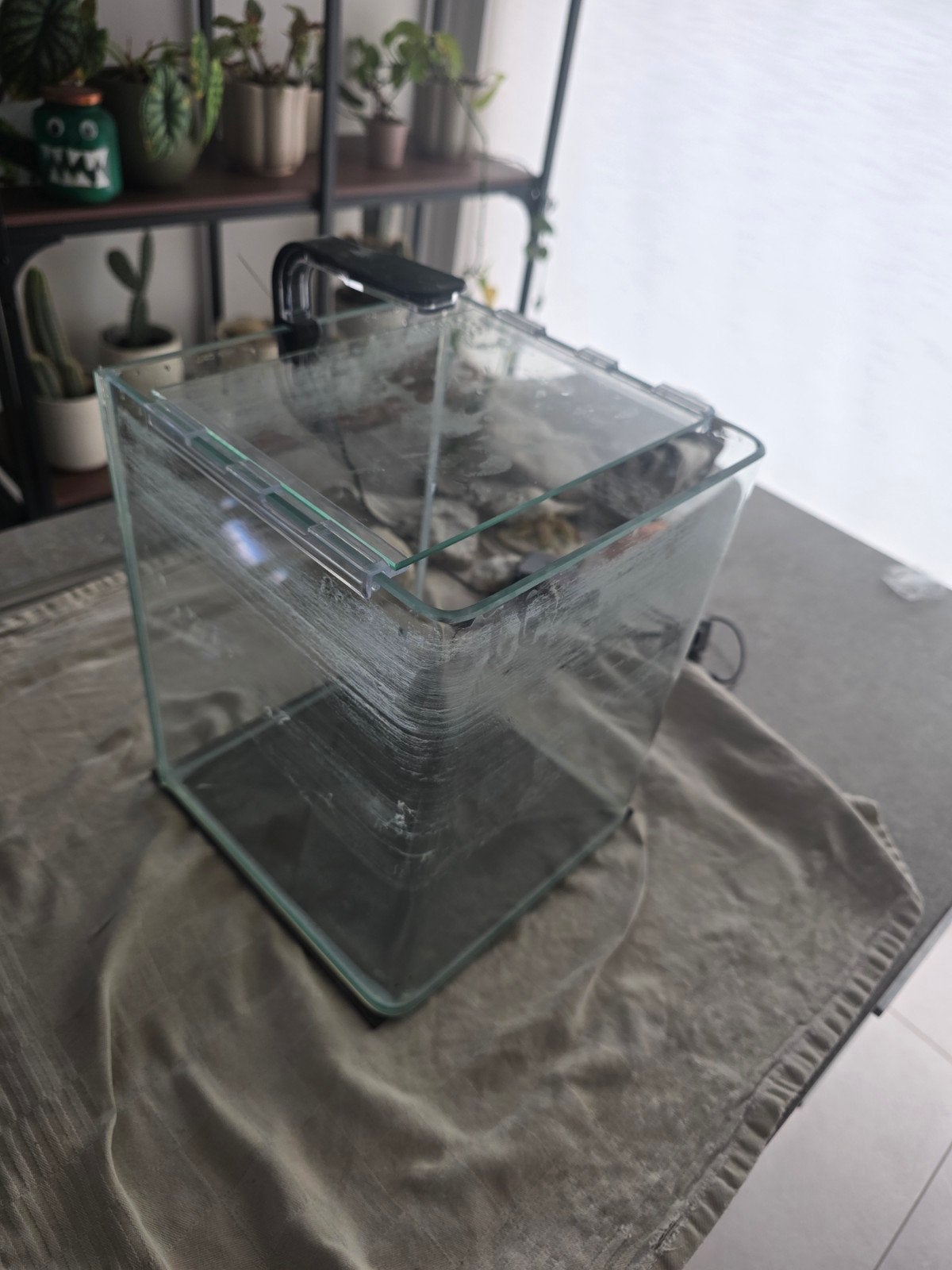 10L aquarium met afgeronde hoeken, Dieren en Toebehoren, Ophalen
