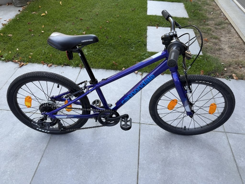 VTT enfant Cannondale 20 pouces, Enlèvement, Utilisé, Autres types