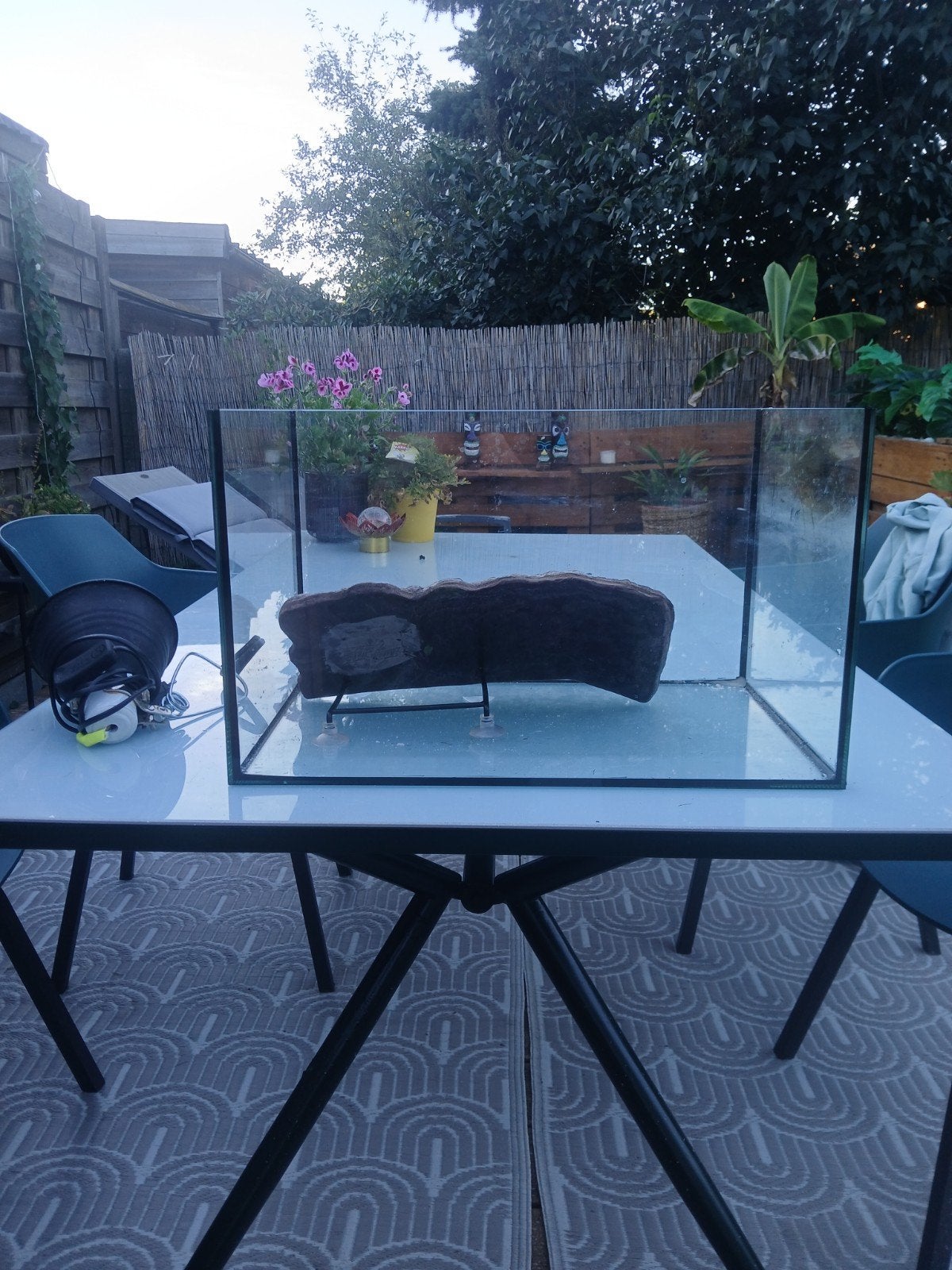 Aquarium, Ophalen