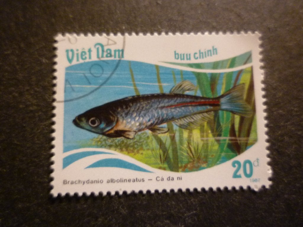 Vietnam 1988 Mi 1899(o) Gestempeld/Oblitéré, Postzegels en Munten, Verzenden, Gestempeld