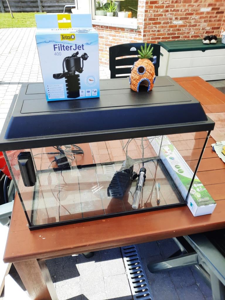 Aqaurium, Dieren en Toebehoren