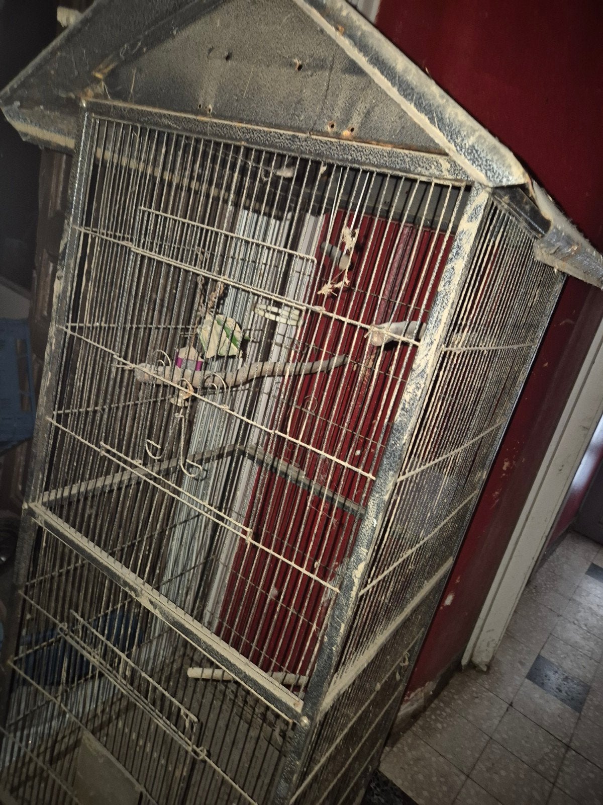 Oiseaux, Enlèvement ou Envoi
