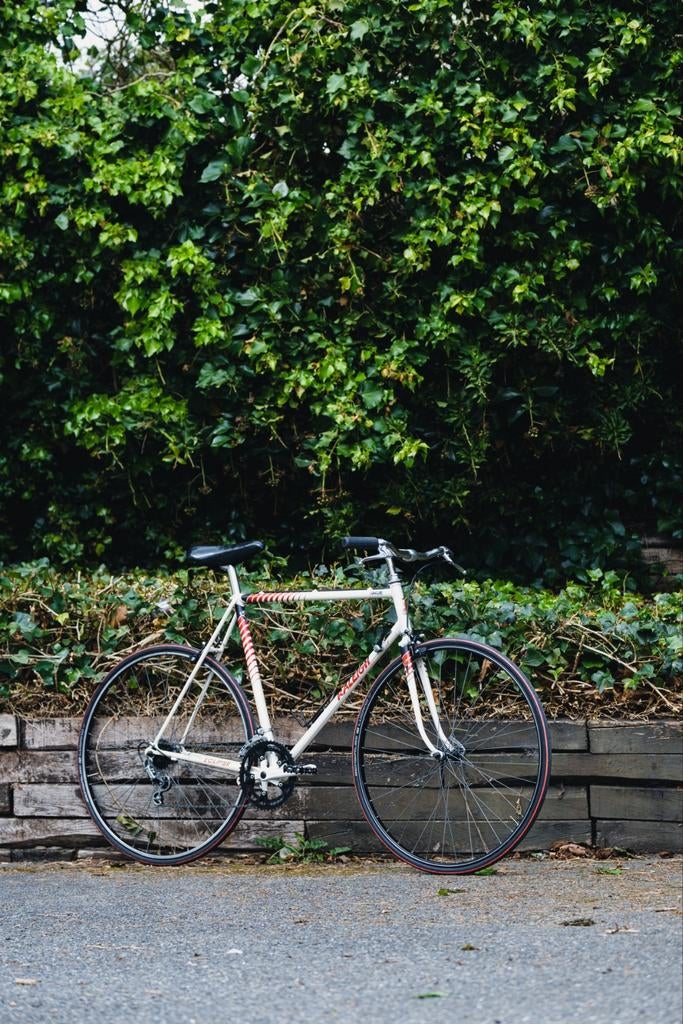 Raleigh Eclipse 501, Autres marques, 10 à 15 vitesses, Enlèvement, 28 pouces