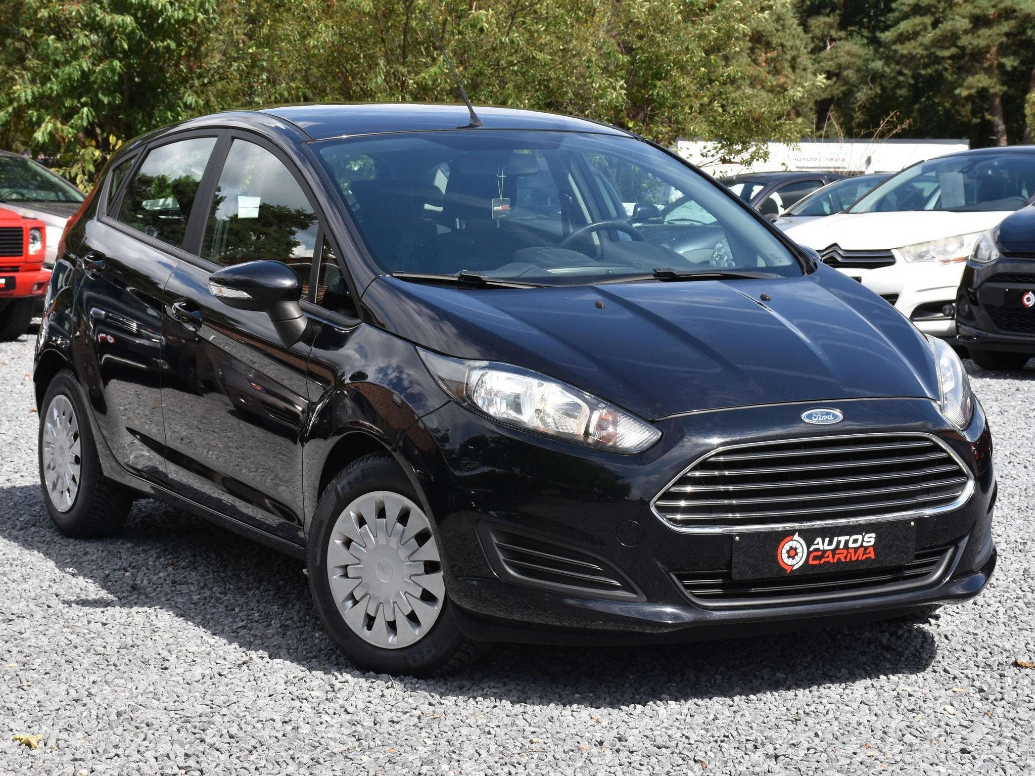 Ford Fiesta Fiesta 1.6 TDCi Trend ECOnetic S/S, Euro 5, Achat, Entreprise, 5 portes