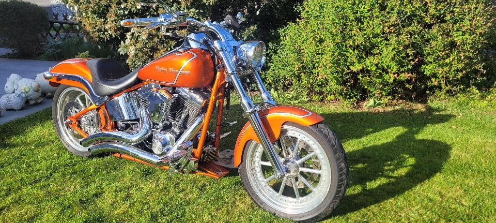 Harley Davidson Custom, 2 cilinders, Particulier, Overig, Meer dan 35 kW