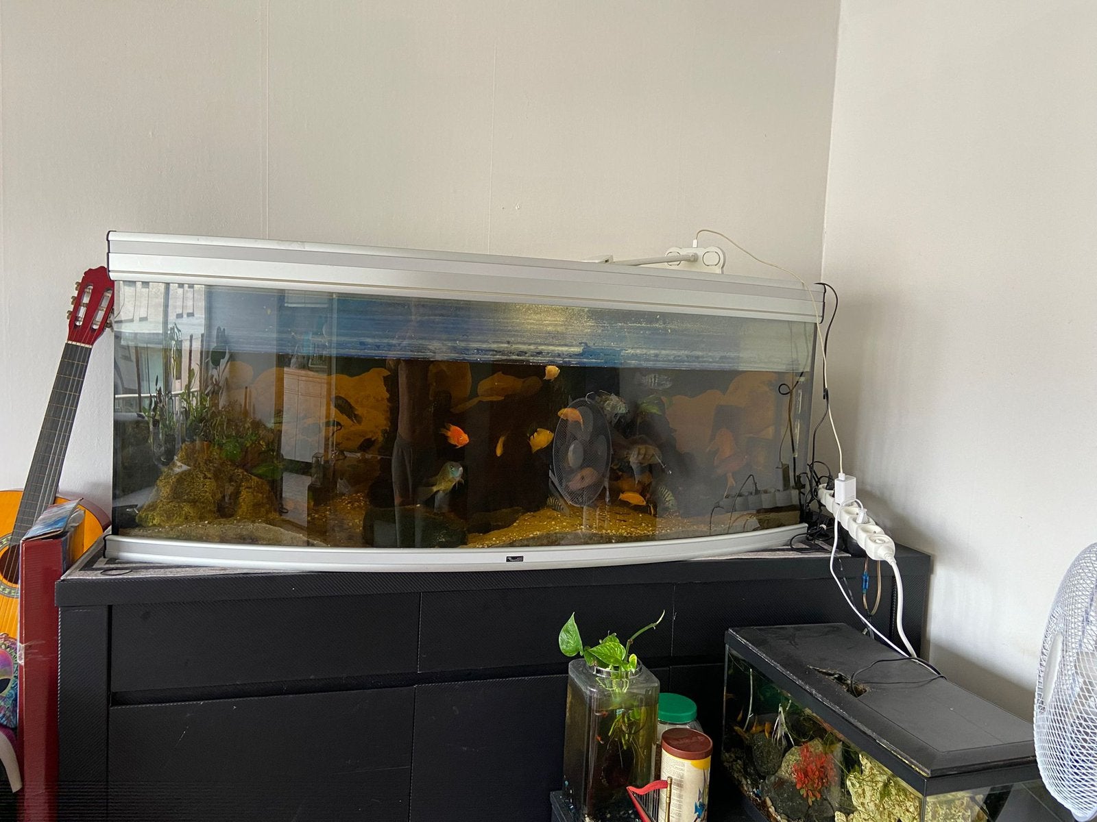 Aquarium complet, Enlèvement, Comme neuf