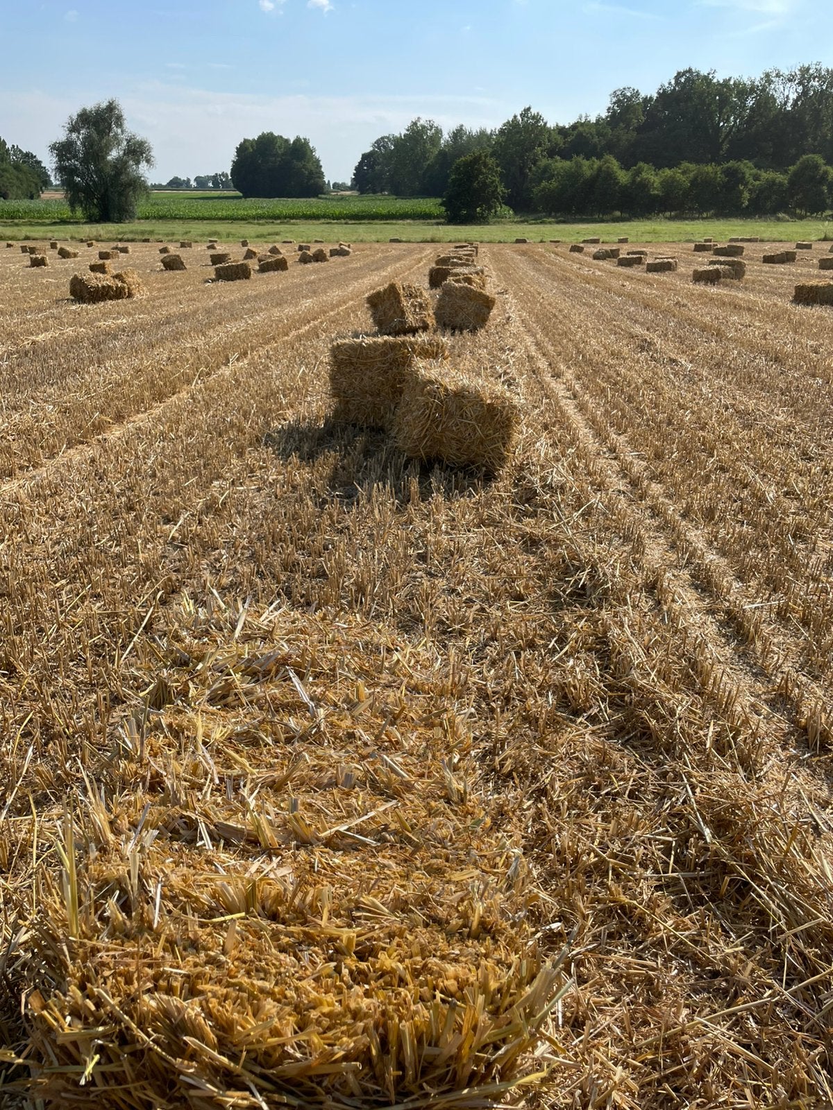 Kleine balen tarwe stro, Ophalen