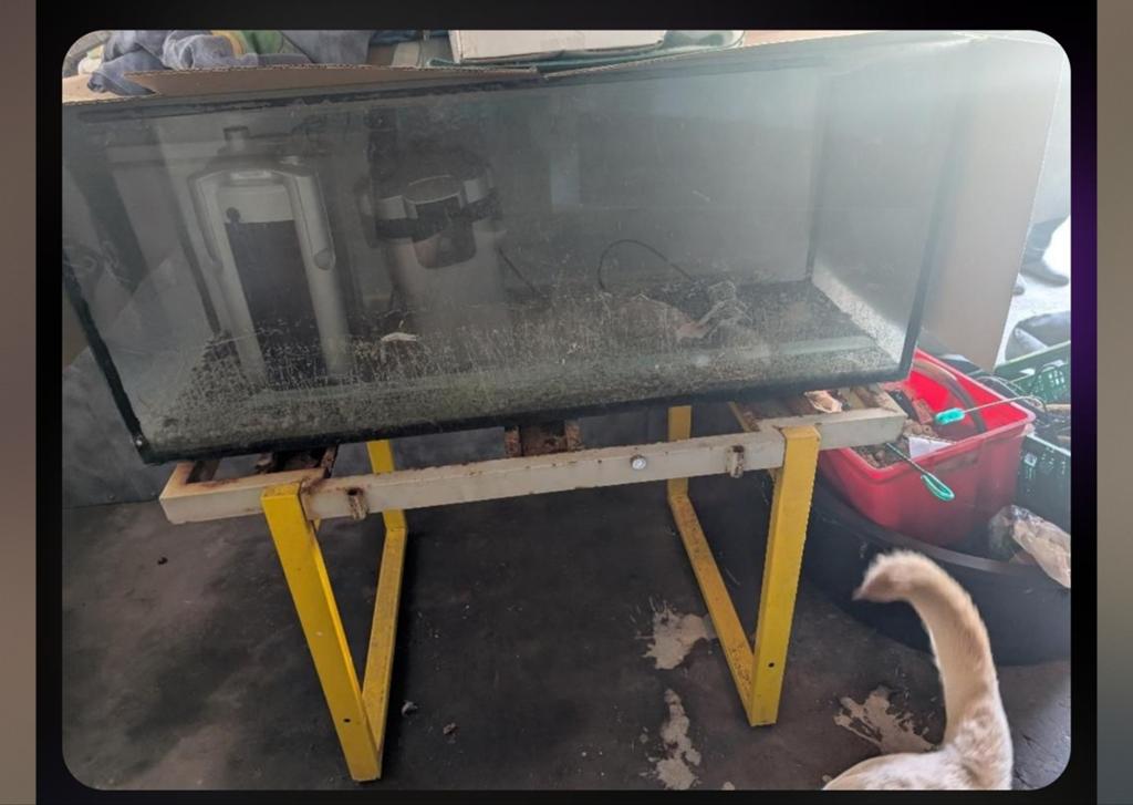 Aquarium, Dieren en Toebehoren, Vissen | Aquaria en Toebehoren, Ophalen