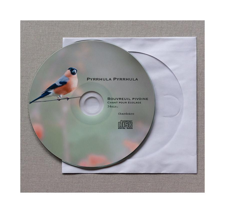 Goudvink zang, Meerdere dieren, Wildzangvogel, Geringd