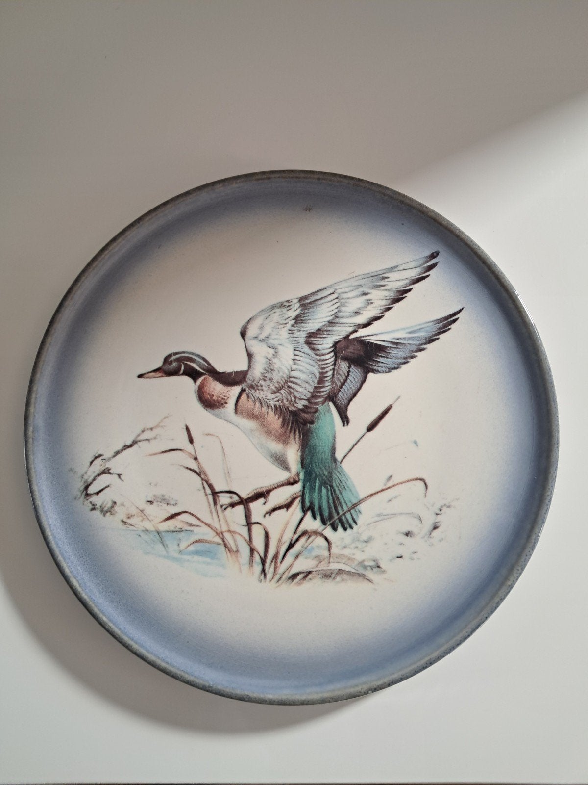 assiettes decoratif, Antiquités & Art, Enlèvement ou Envoi