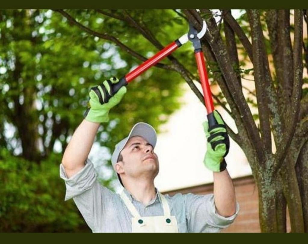 Tuin  onderhoud, Ophalen