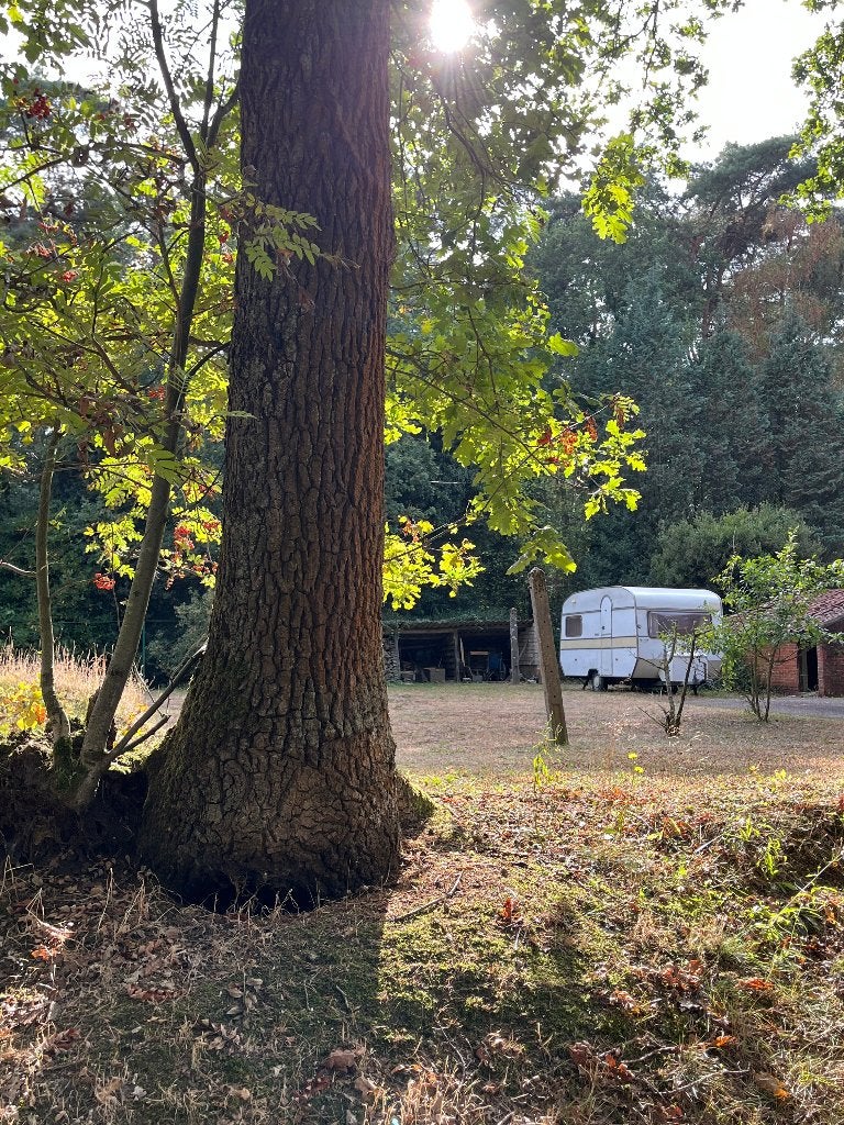 Retro caravan 750 kg Roller Raphael 202, Caravans en Kamperen, Caravans, Overige merken, Standaardzit, Omvormbare zithoek, Particulier
