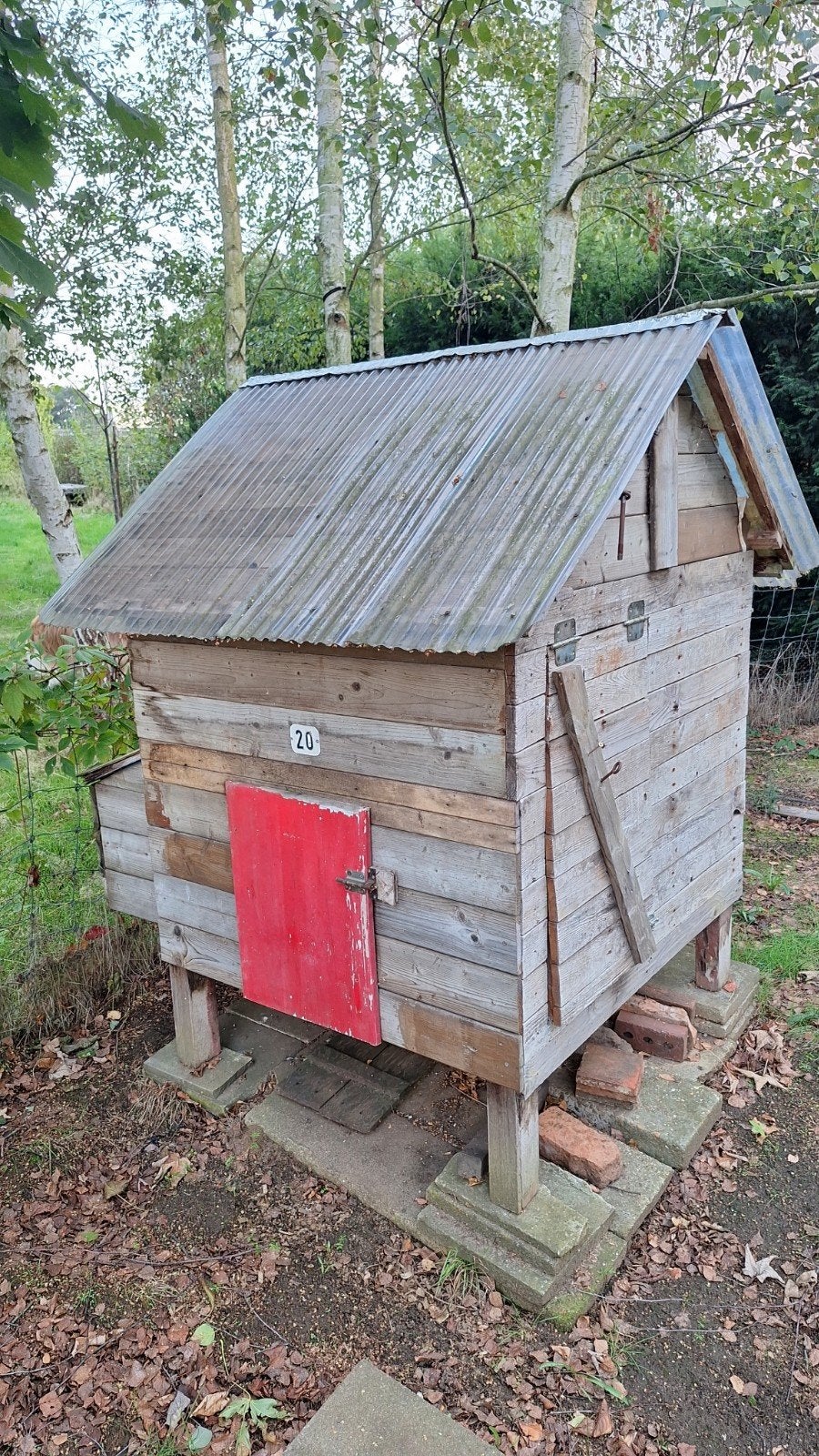 Home made groot kippenhok, Dieren en Toebehoren, Ophalen
