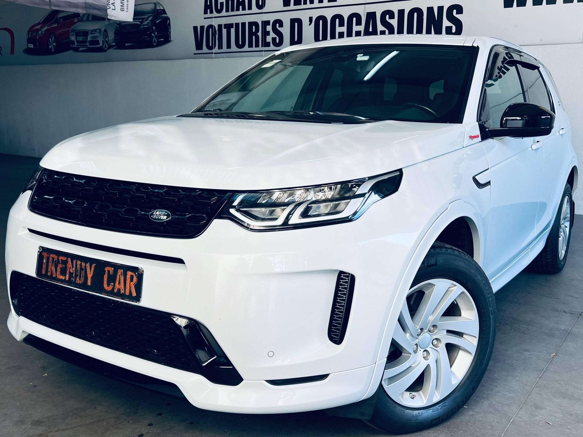 Land Rover Discovery Sport Discovery Sport 2.0 Turbo MHEV 4W, Cuir, 177 g/km, Achat, Euro 6