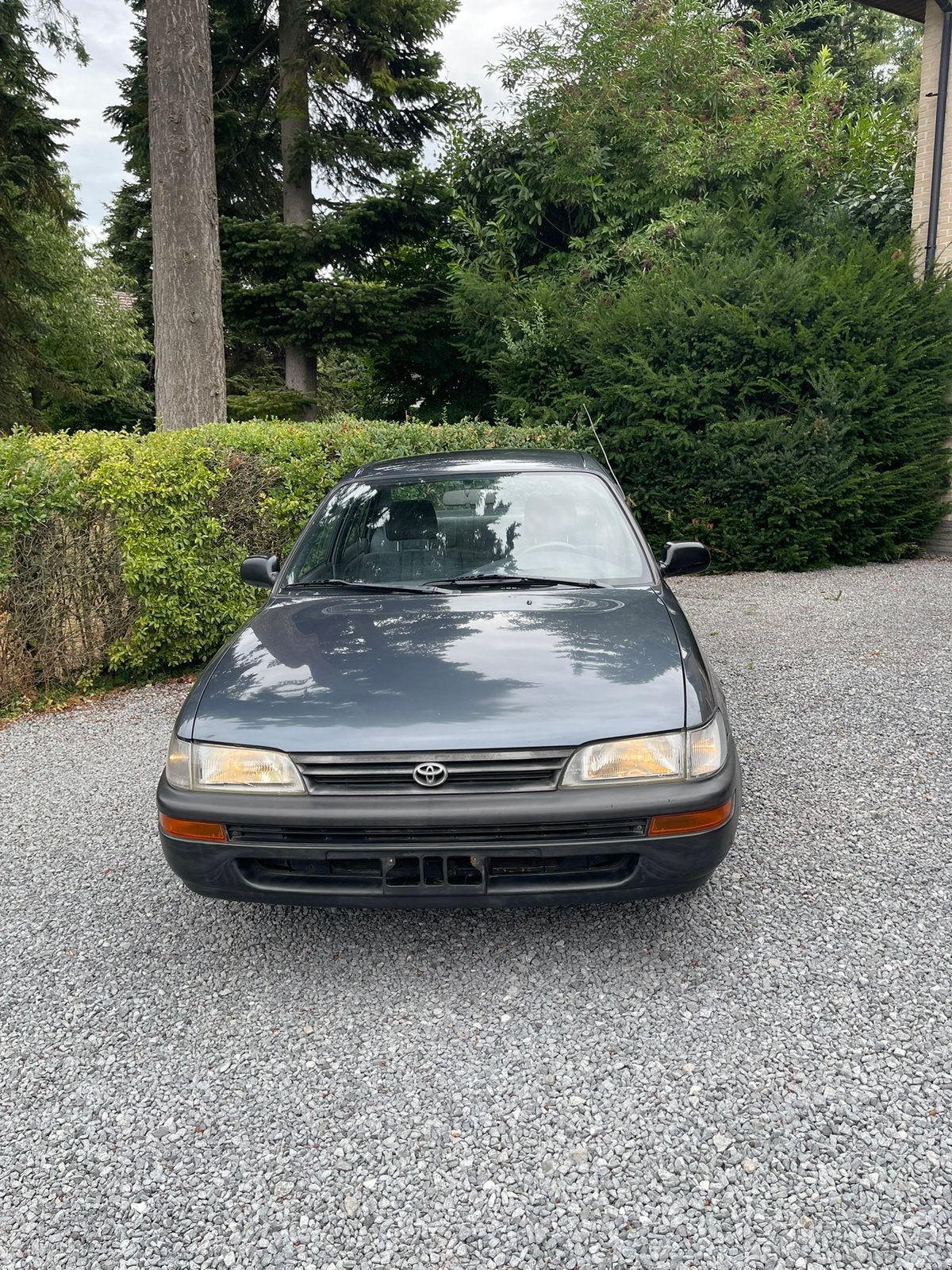 Toyota Corolla Oldtimer, Autos, Achat, 4 portes, Boîte manuelle, Bleu