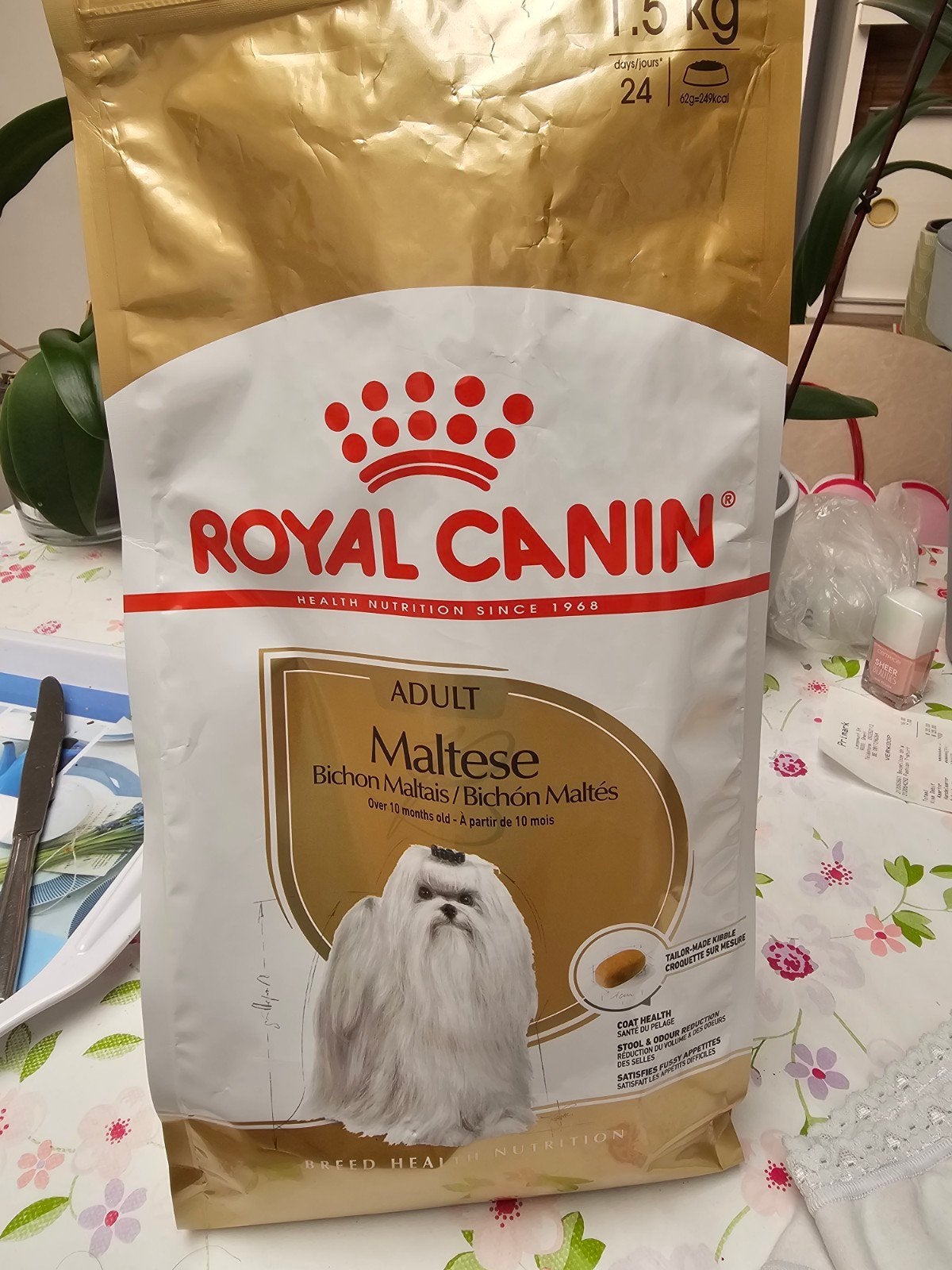 adult malteser honden brokken, Ophalen