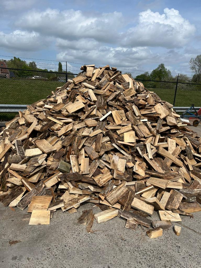 Populeir - den ( actie spotprijs )🔥, Tuin en Terras, Brandhout, Ophalen
