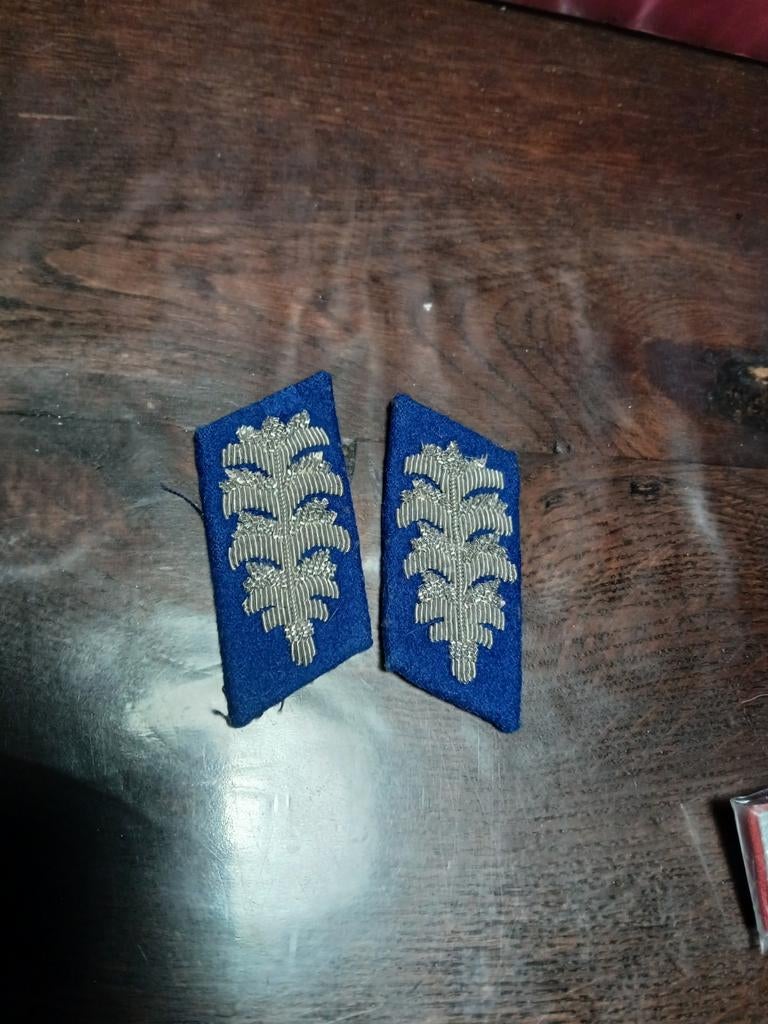Insigne de col polonais, Collections, Objets militaires | Général