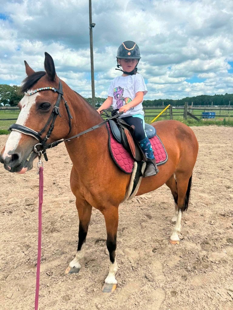 Brave kinderpony, Dieren en Toebehoren, Merrie, M