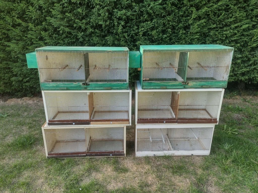 Cage d'élevage, Animaux & Accessoires, Enlèvement, Utilisé, Accessoires pour cage