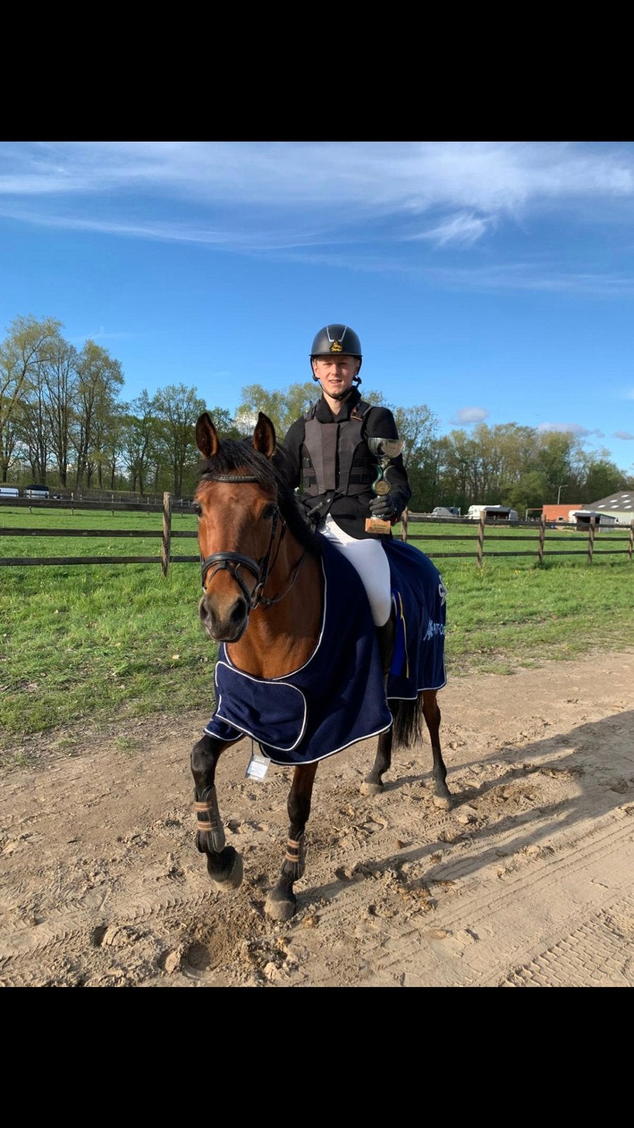6 jarige springpony D pony, Dieren en Toebehoren, Ophalen of Verzenden, Zo goed als nieuw