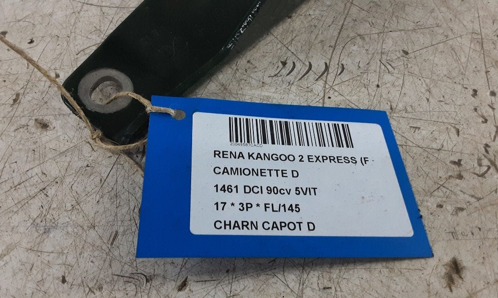 CHARNIERE DE CAPOT DROIT Kangoo Express (FW) (A4158800128), Renault, Mevr. I. Hauben, Utilisé, Rue de l'Espoir 34 34
4030  GRIVEGNÉE, BE