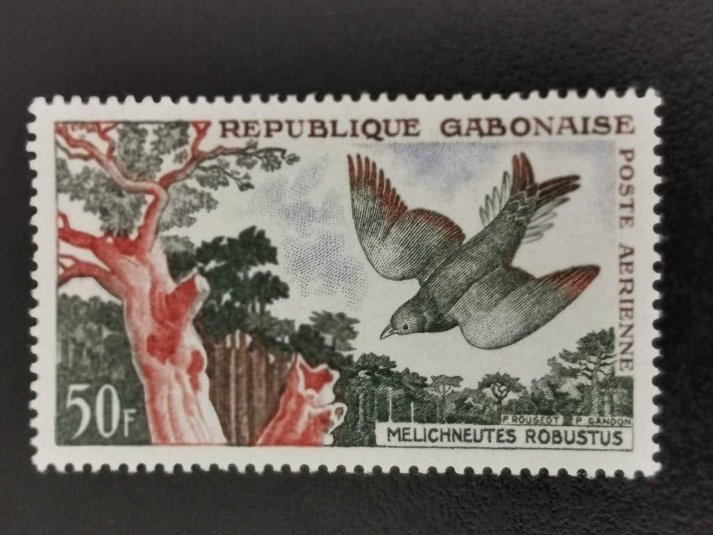 Gabon 1961 - vogels - Lierstaarthoningspeurder **, Verzenden, Overige landen, Postfris