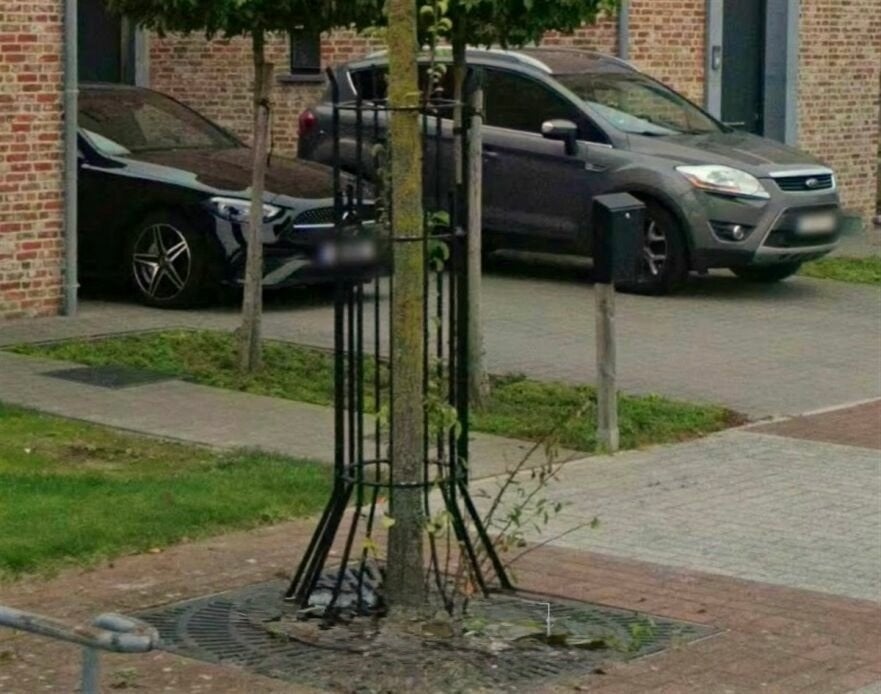 Boom bescherm sierhekken 2 delig gegalv staal zwart, Ophalen, Overige soorten, 100 tot 250 cm