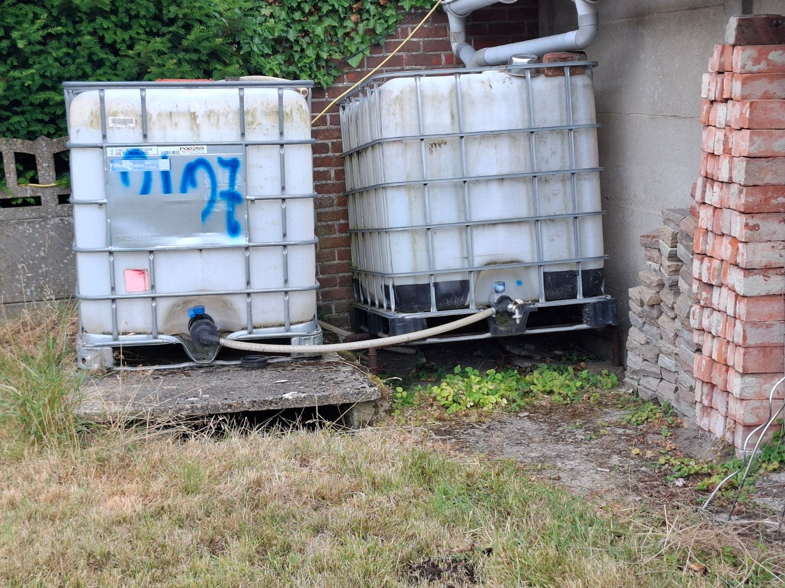 Twee gekoppelde IBC vaten van 1000 liter, Ophalen