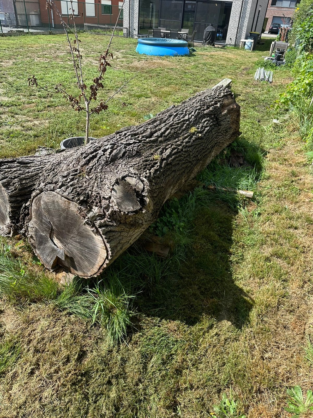 Boomstronk eik, 3 tot 6 m³, Ophalen, Eikenhout, Stammen