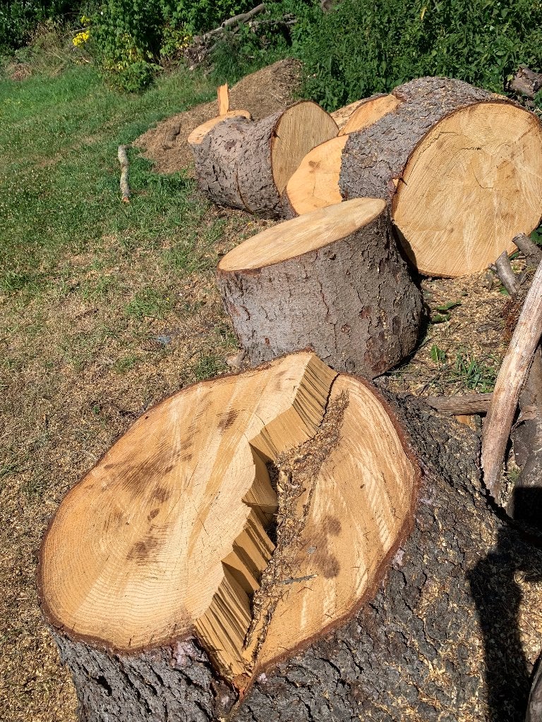 Grosses buches Sapin, Jardin & Terrasse, Enlèvement, Autres essences de bois, Bûches