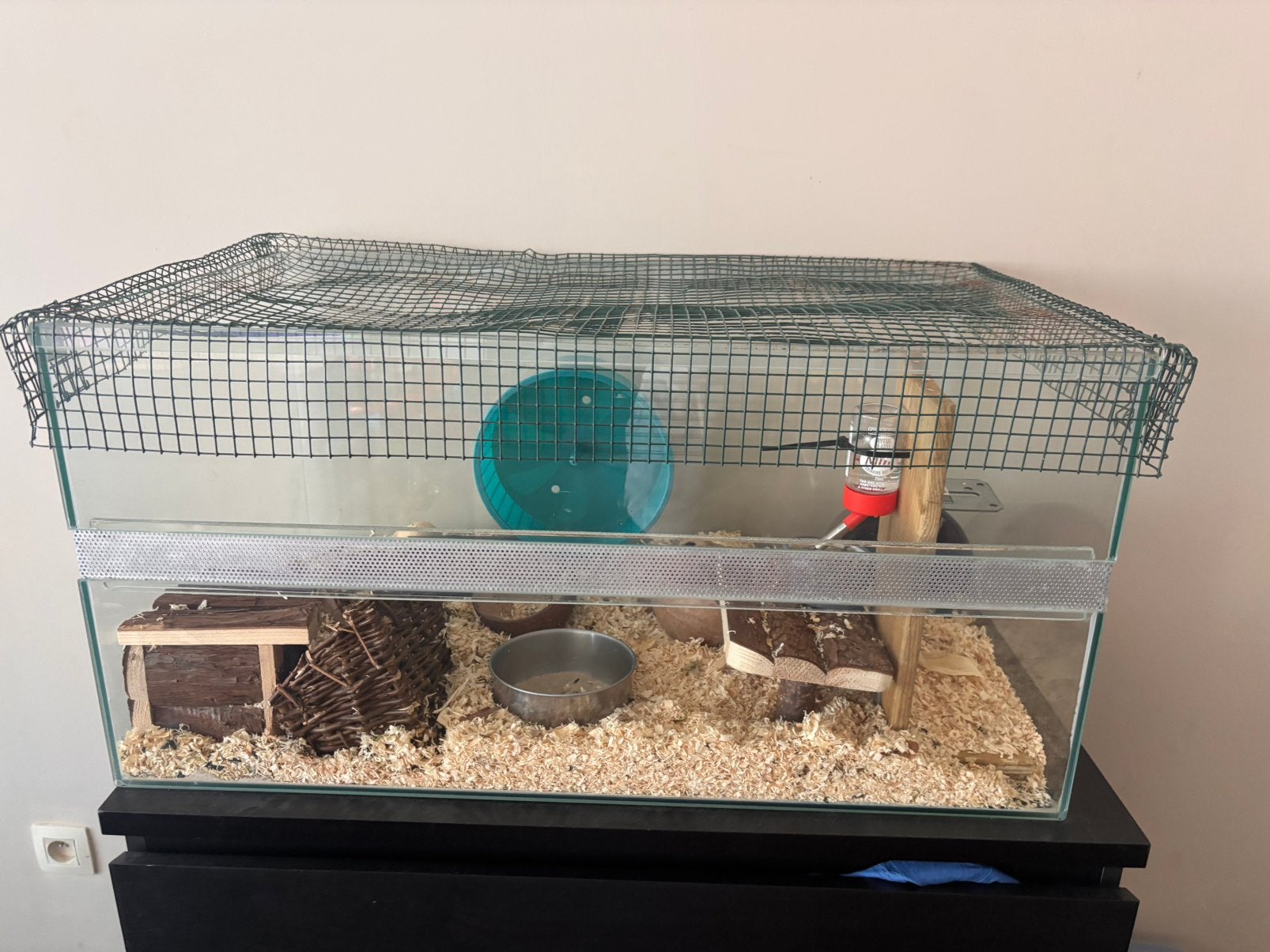Gratis goudhamster, Dieren en Toebehoren, Knaagdieren, Hamster, Maart, Vrouwelijk, Tam