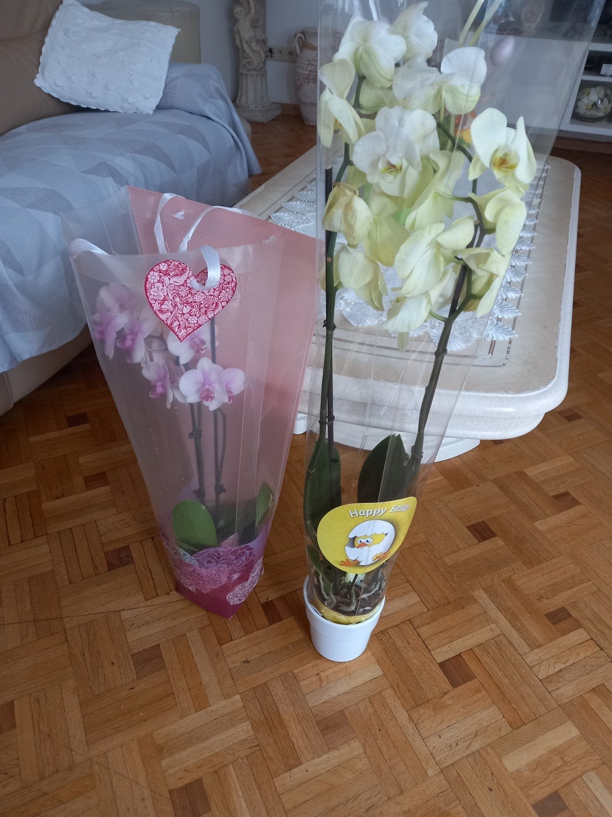 2 orchideeën, Ophalen