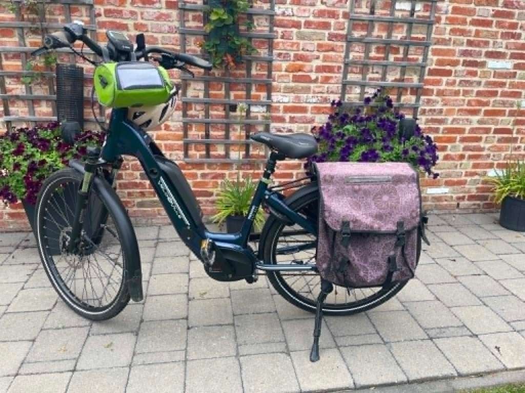 Elektrische fiets, Moins de 47 cm, Enlèvement, Utilisé, 50 km par batterie ou plus