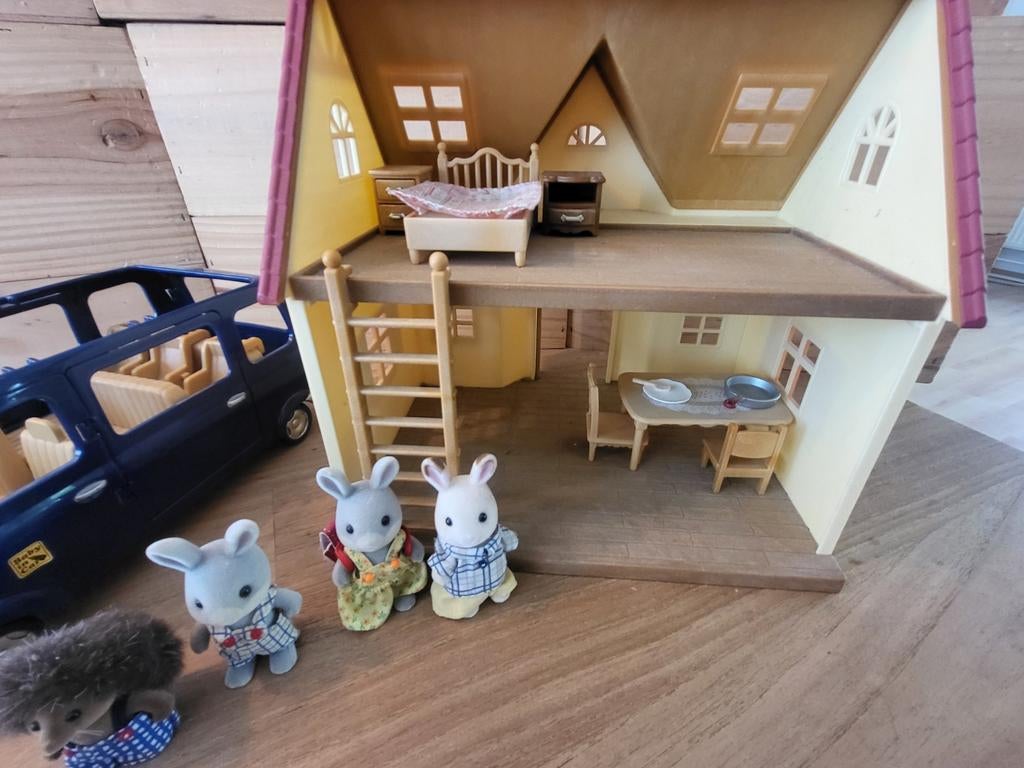 Sylvanian, Enlèvement