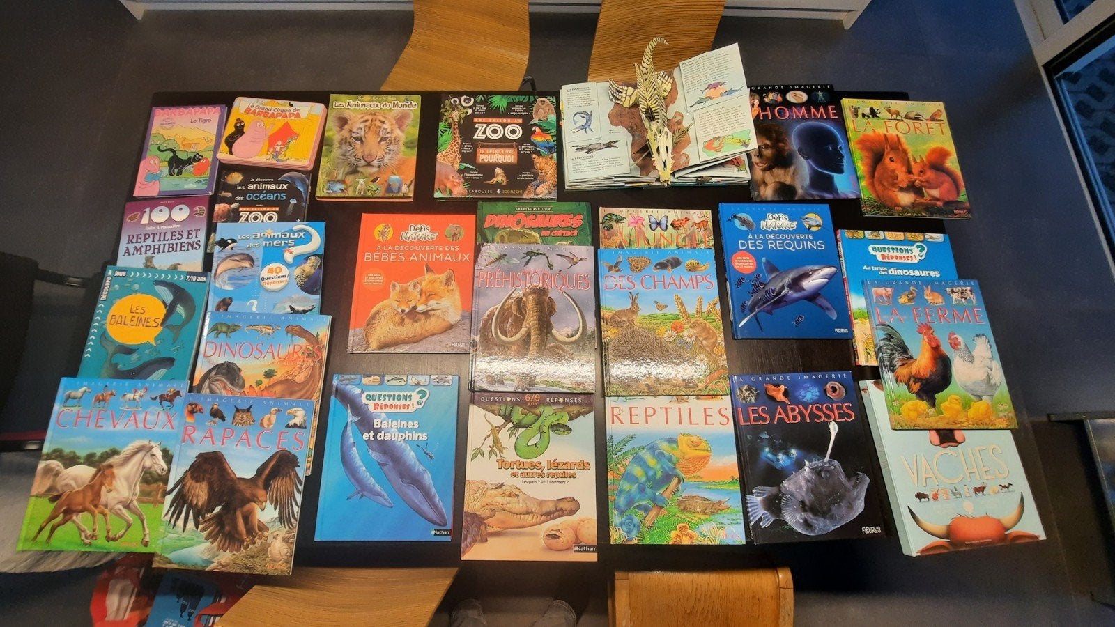 Lots de livres enfant, Livres, Enlèvement, Comme neuf