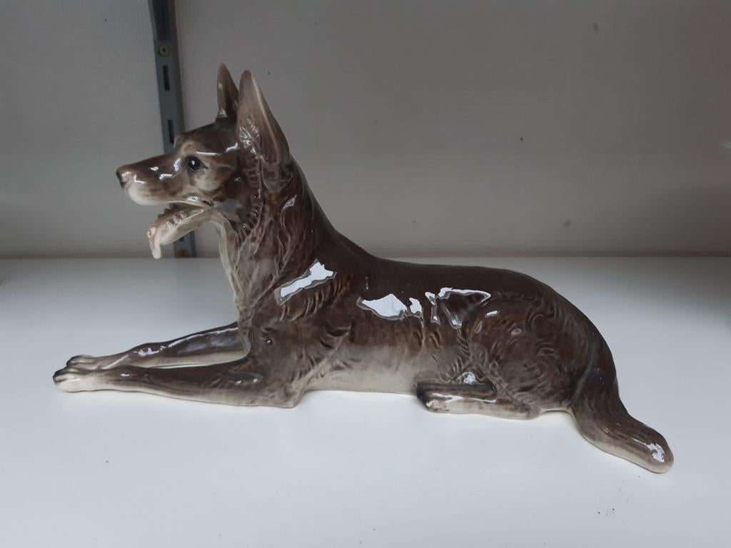 Hond, Ophalen