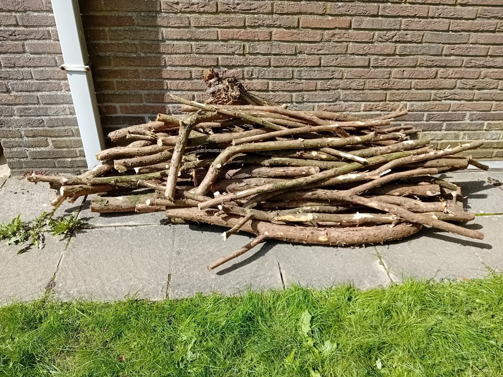 Brandhout, Moins de 3 m³, Enlèvement, Autres essences de bois, Branches